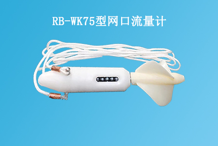 RB-WK75型网口流量计